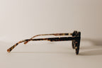 Sol Tortoiseshell